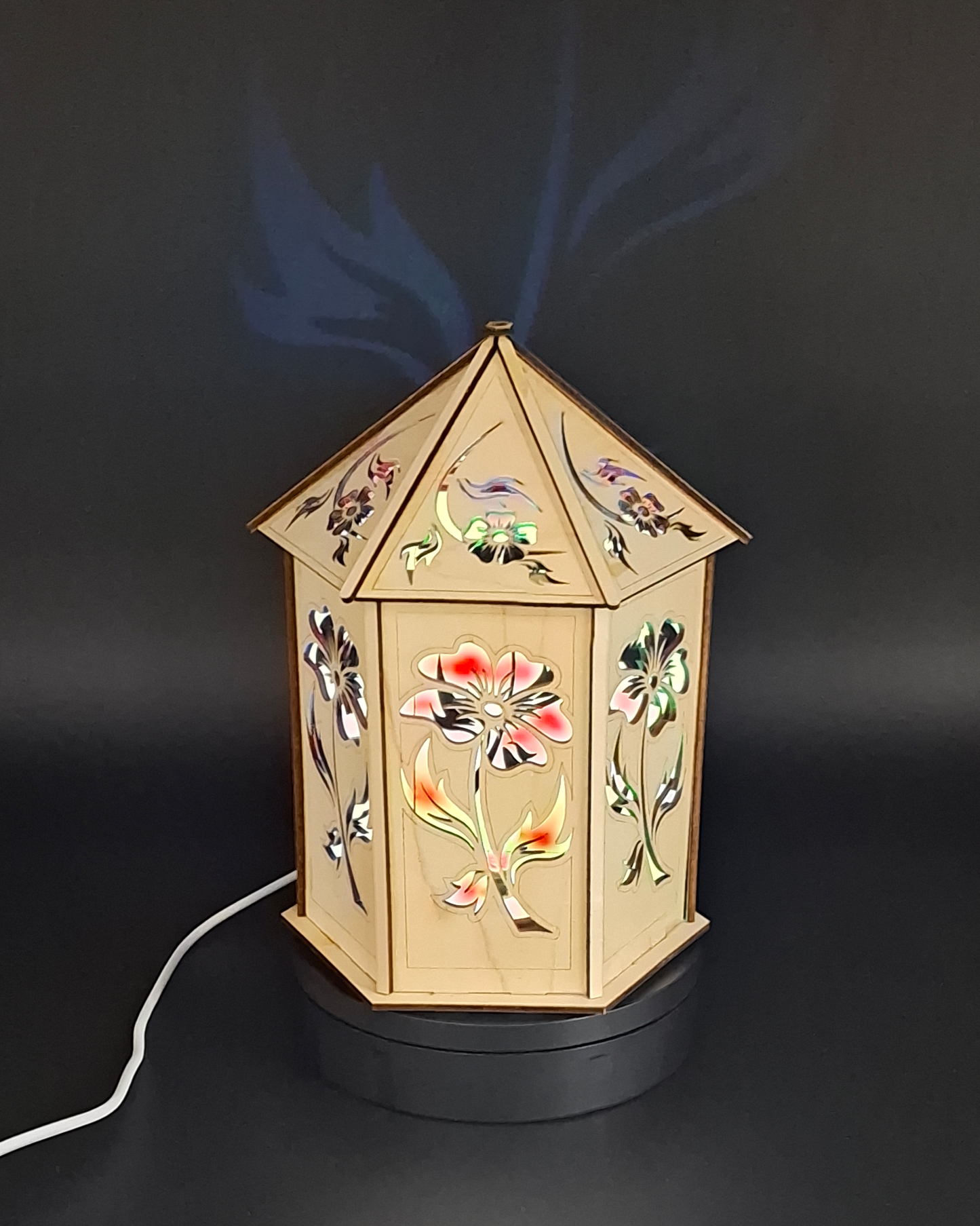 Fire Flower Light Box USB Powered