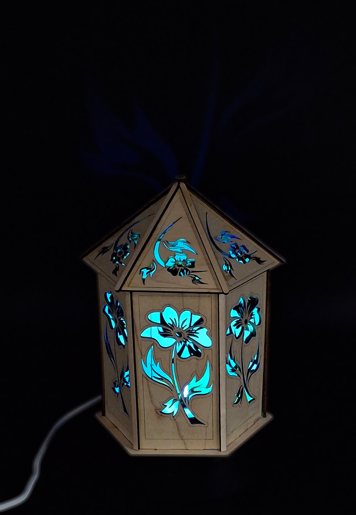 Fire Flower Light Box USB Powered