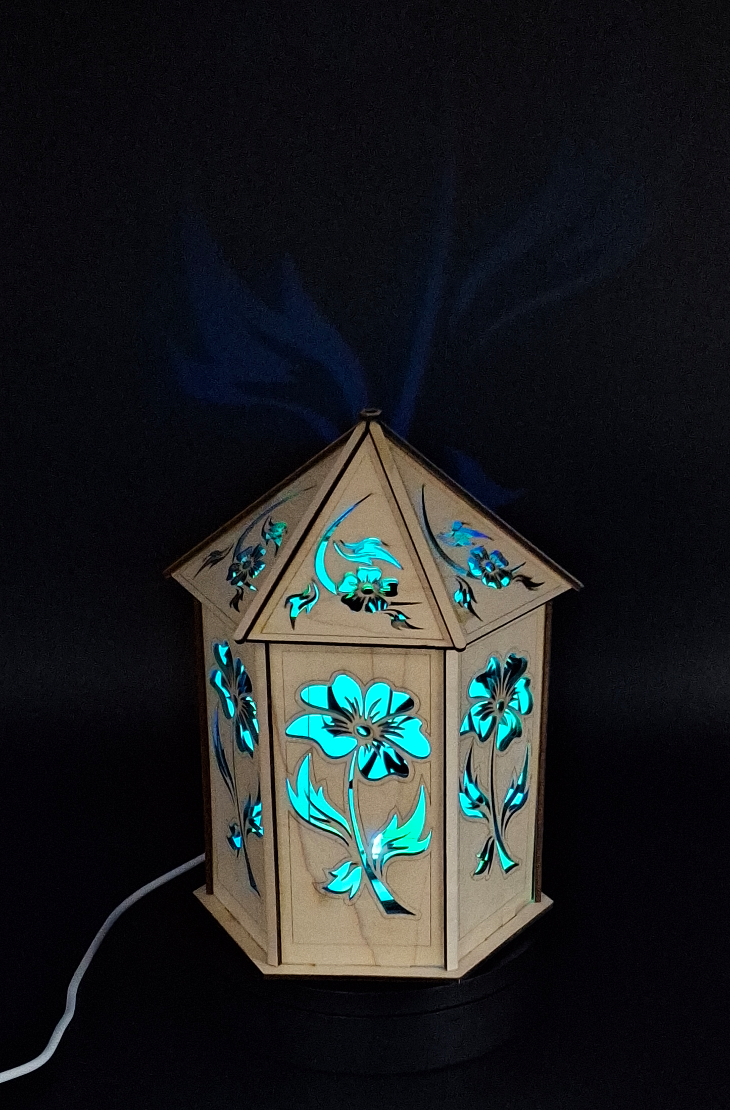 Fire Flower Light Box USB Powered