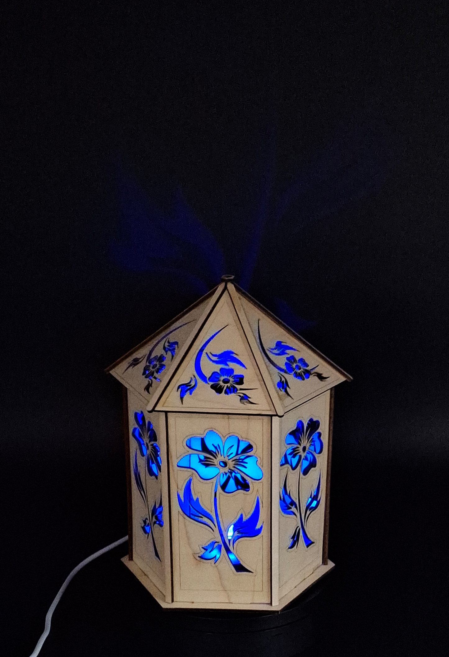 Fire Flower Light Box USB Powered