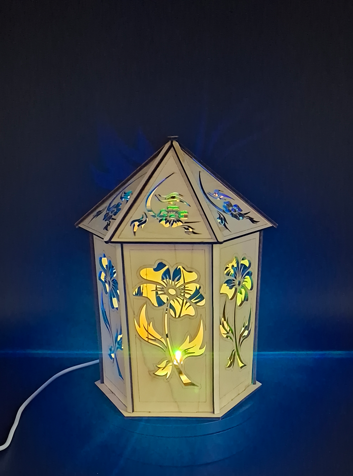 Fire Flower Light Box USB Powered